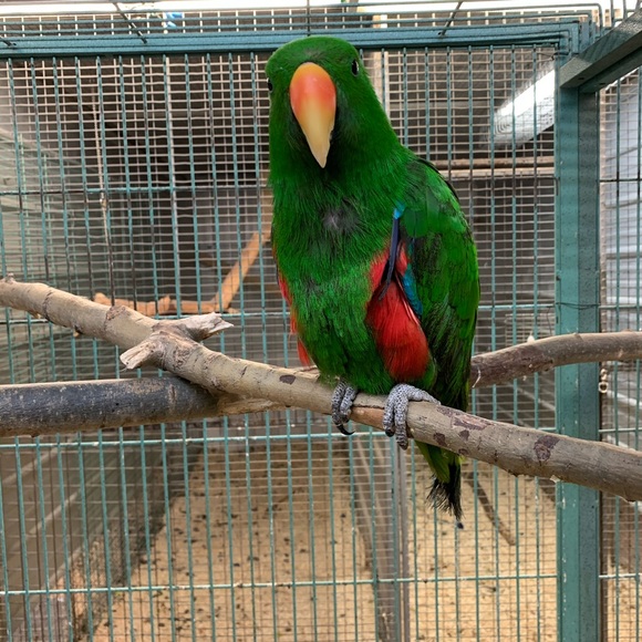 Meet your Posher, Karen - Picture 9 of 12